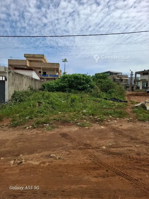 Terrain 481 m² à l'angle avec ACD — Bingerville Akanjé