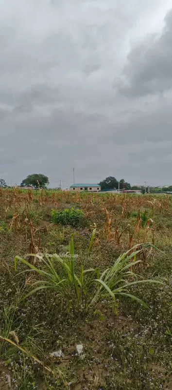 Terrain 950 m² — Cocody Djibi Résidentiel