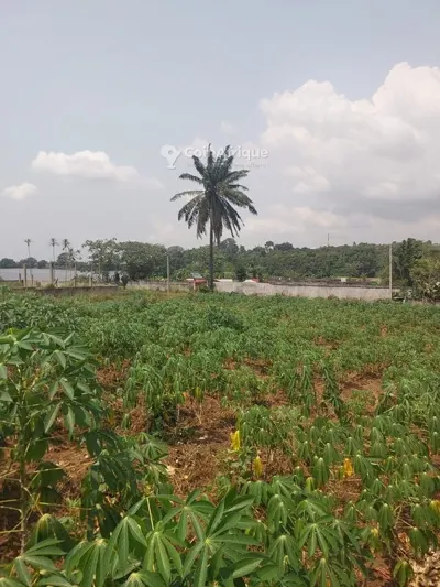 2 terrains 1223 m² avec vue lagunaire — Bingerville Anan Gbontchui