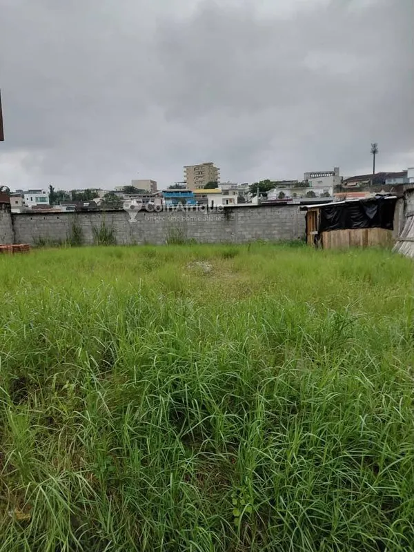 Terrain 400 m² — Cocody Riviera 4 Synacassi 2