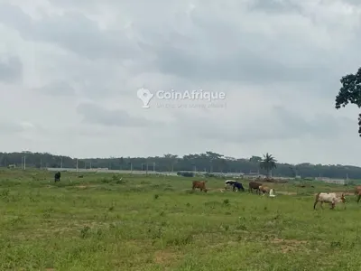Terrain 300m² avec ACD individuel — Songon Cassamblé