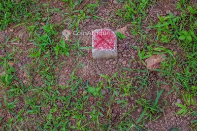 Terrain 46 lots de 500m² — Songon Abiaté