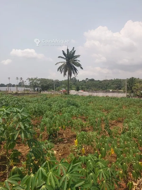2 terrains 1223 m² avec vue lagunaire — Bingerville Anan Gbontchui