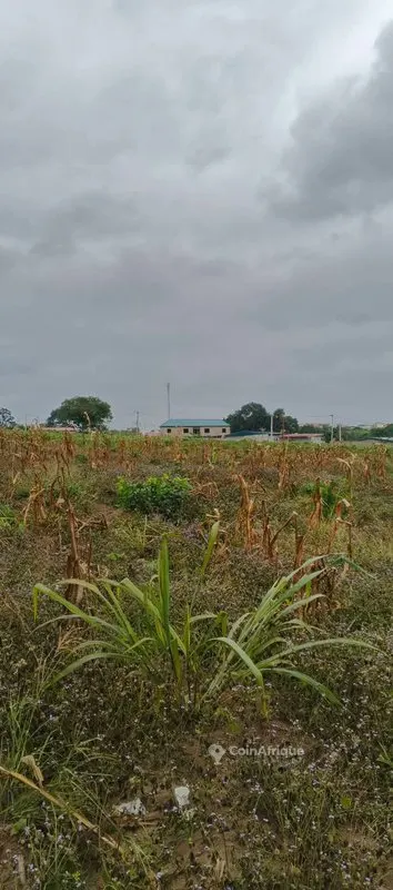 Terrain 950 m² — Cocody Angré