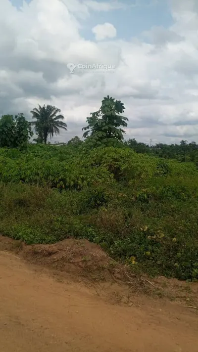 Terrain 500 m² avec ACD — Attinguié